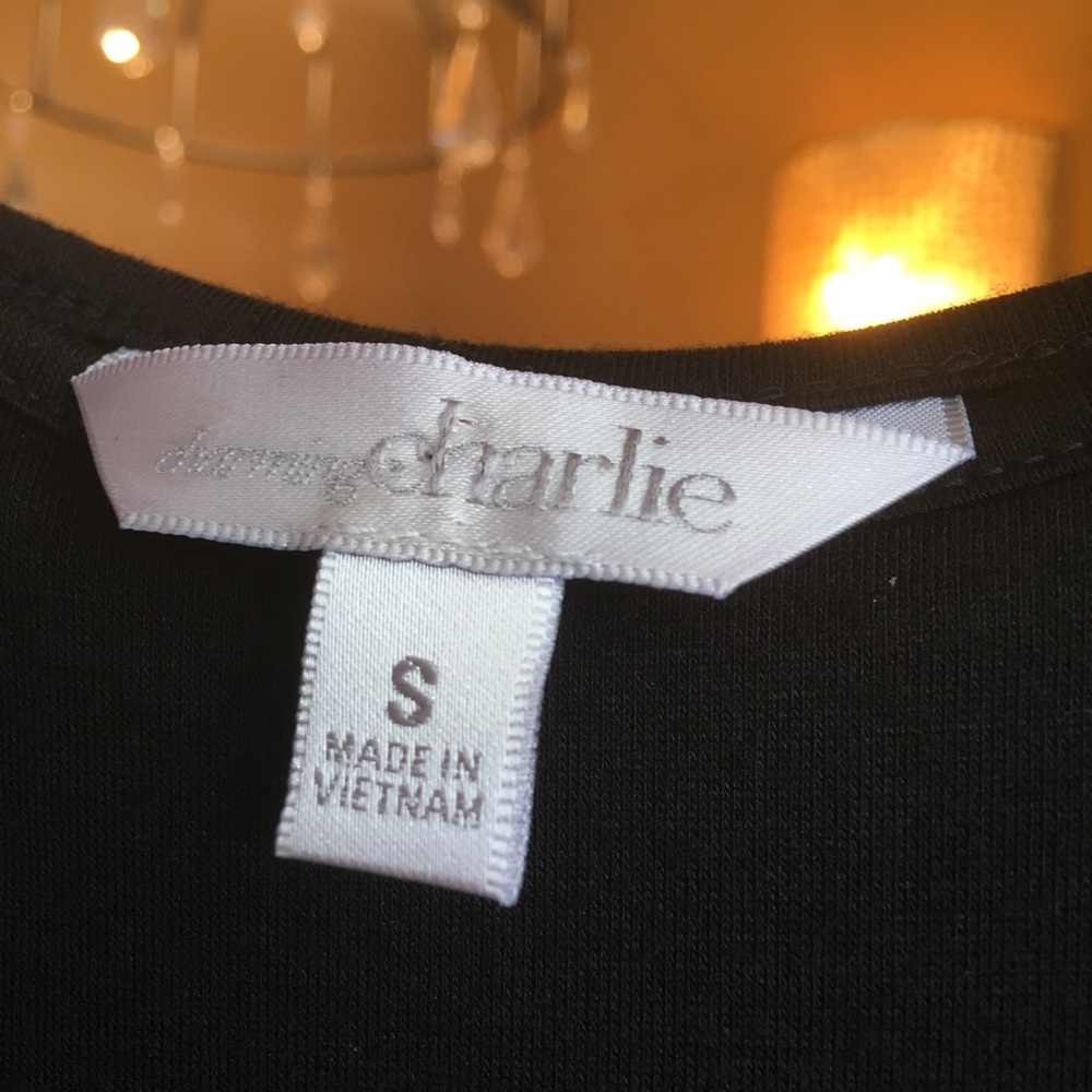 🔥Charming Charlie Dress - Picture 3 of 4